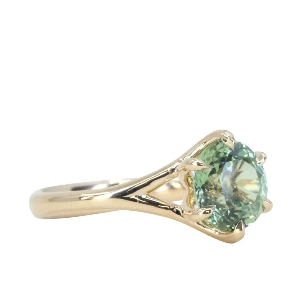 2.67ct Medium Teal Green Montana Sapphire Low Profile Six Prong Split Shank Solitaire in 14k Yellow Gold