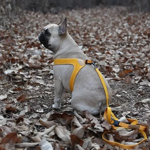 Buckle Up Easy Harness - Yellow