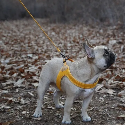 Buckle Up Easy Harness - Yellow